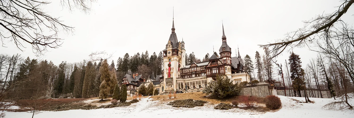 Guided visit of Peleș Castle 